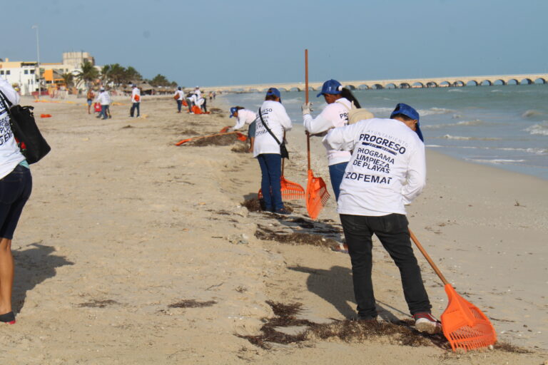 Progreso intensifica acciones para despejar de basura la playa