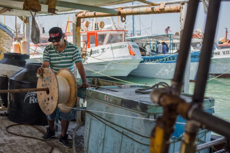 Programa “Peso a Peso” llega para pescadores de Progreso