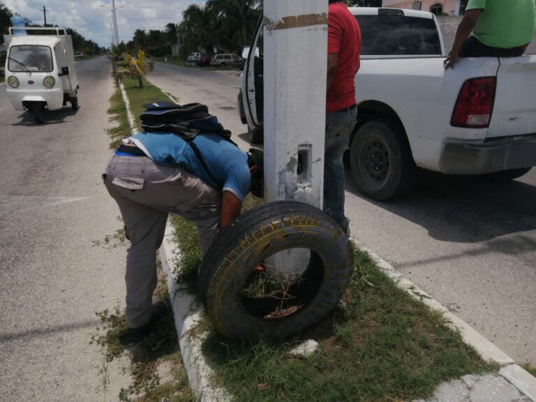 En Progreso, retiran anuncios que no tenían permisos