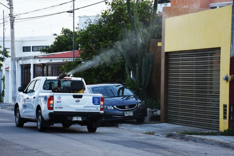 GOBIERNO: Reporta SSY notables avances en el combate al dengue en Yucatán
