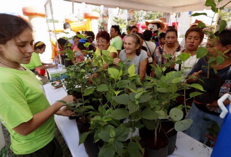 El Ayuntamiento de Mérida refuerza la cultura del reciclaje entre los ciudadanos