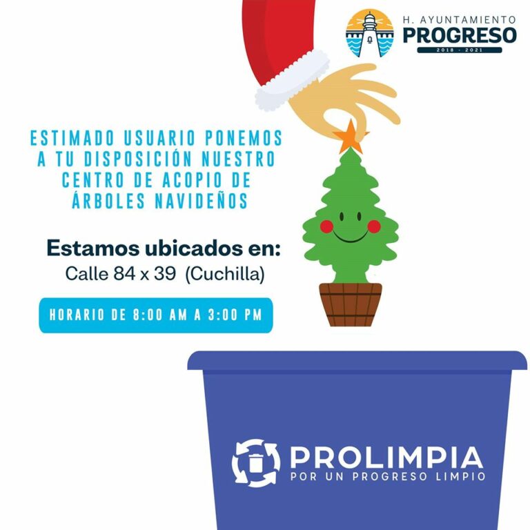 PROGRESO: Prolimpia abre centro de acopio para recolectar pinos navideños