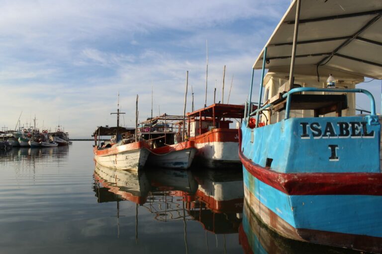 PROGRESO: Apoyan el trabajo del pescador con el programa “Respeto la veda del Mero 2020”