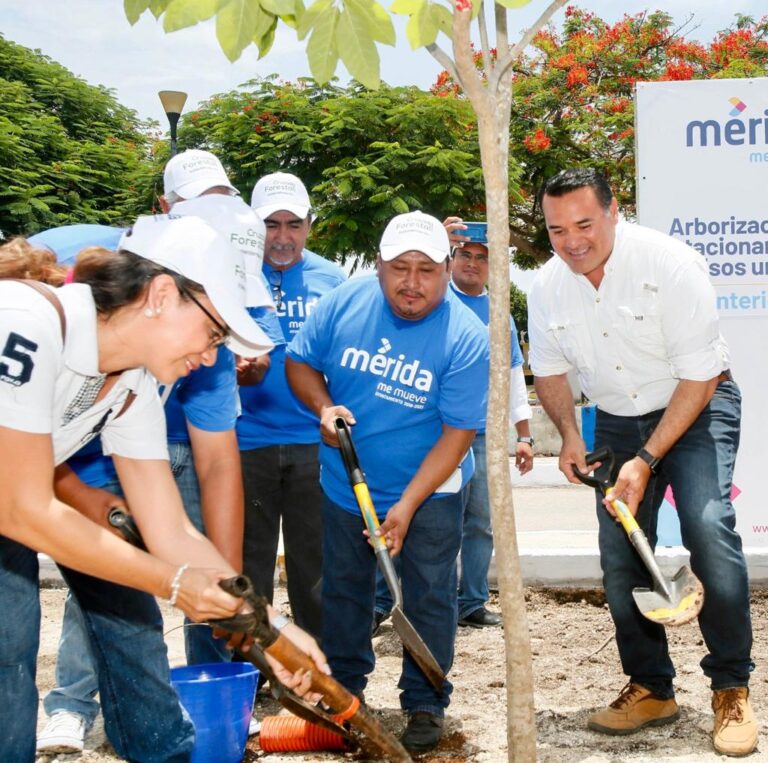 Mérida, una de las tres ciudades mexicanas reconocidas por la ONU en materia sustentable