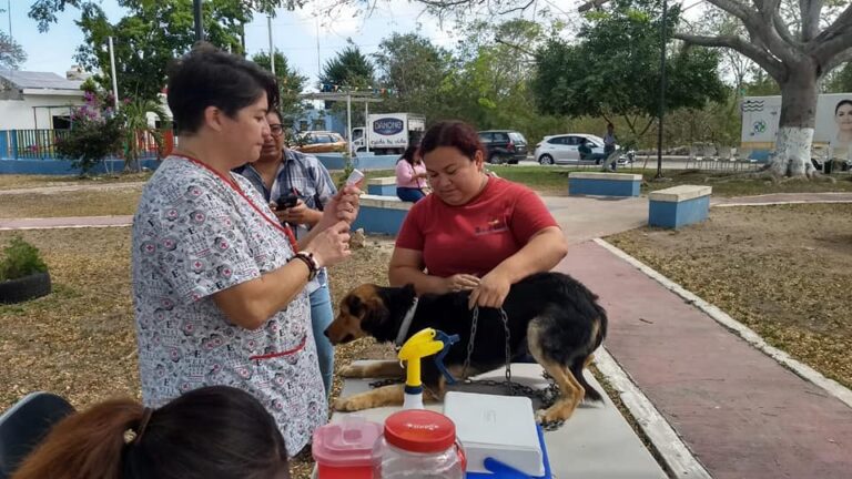 PROGRESO: Unidad Móvil Veterinaria visitó la subcomisaria de Paraíso