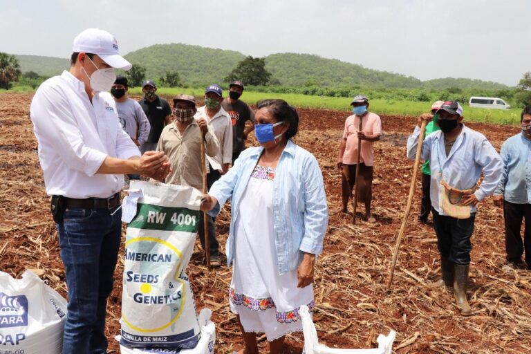 GOBIERNO: Pequeños productores agrícolas siguen recibiendo semillas y fertilizantes para sembrar sus tierras