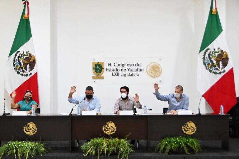 LXII LEGISLATURA: Aprueban en comisión sancionar a quien derribe árboles