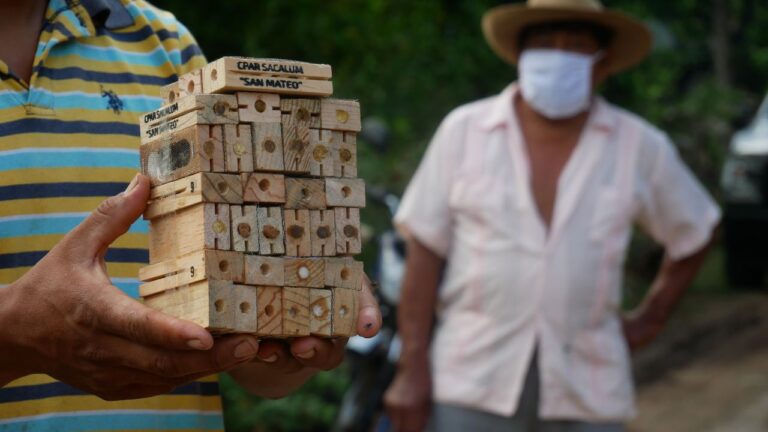 GOBIERNO: El Gobernador Mauricio Vila Dosal continúa apoyando a los apicultores de Yucatán con abejas reina