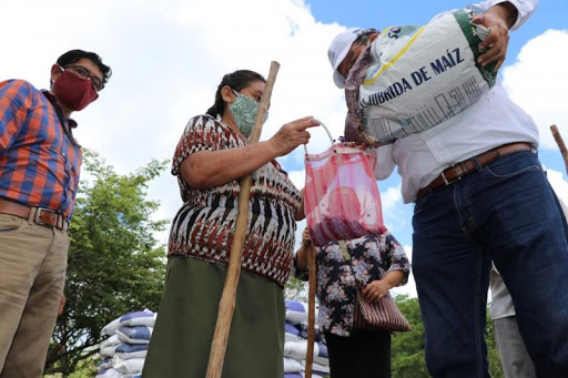 GOBIERNO: Gobierno del Estado respalda a las familias del campo de Yucatán