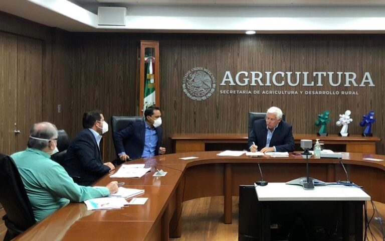 GOBIERNO: Gobierno Federal señala que no tiene los recursos para ayudar a los campesinos yucatecos