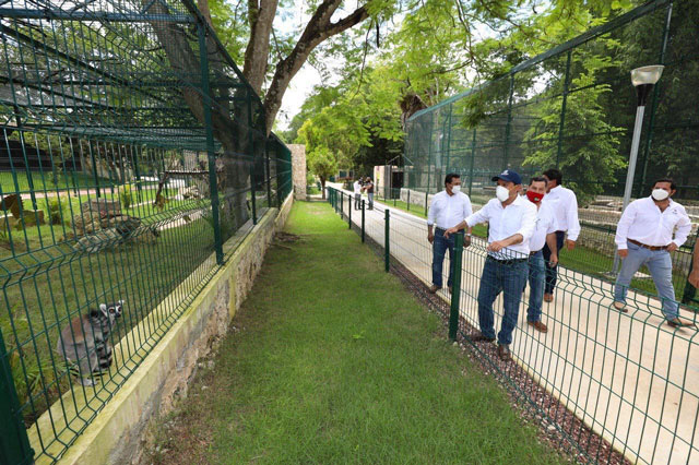 GOBIERNO: El Gobernador Mauricio Vila Dosal recorre el zoológico “La Reina” de Tizimín para supervisar los trabajos de construcción y remodelación