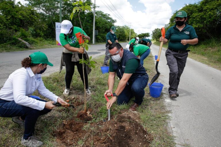 MÉRIDA: El alcalde Renán Barrera participa en la plantación complementaria de árboles de la Cruzada Forestal 2020