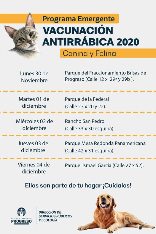 PROGRESO: Este lunes inicia la campaña de vacunación antirrábica en todo el municipio