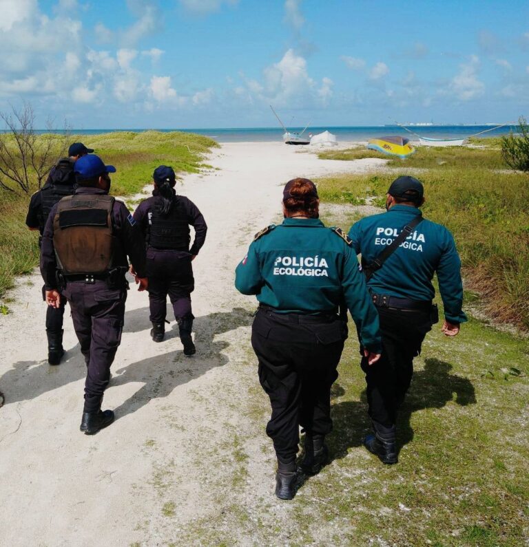 PROGRESO: Continúan los trabajos para la conservación y protección del medio ambiente en Progreso