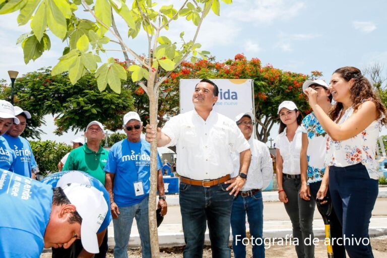 MÉRIDA: Mérida consolida su avance hacia la sustentabilidad con acciones para mitigar las consecuencias del cambio climático, asegura el alcalde Renán Barrera