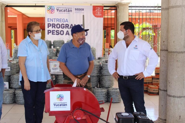 GOBIERNO: Con el respaldo del programa estatal “Peso a Peso” el Gobierno del Estado impulsa la reactivación económica y la generación de empleos del sector agrícola yucateco