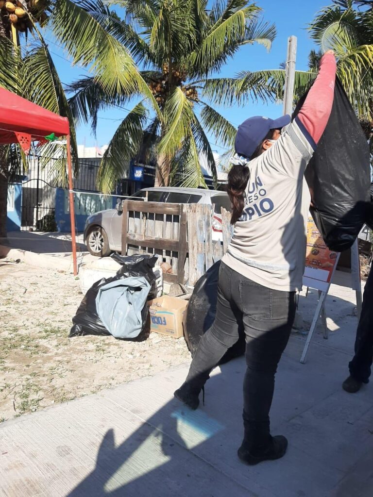 PROGRESO: Prolimpia abre centro de acopio para recolectar pinos navideños