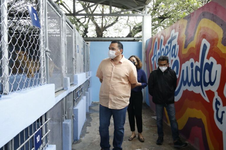 MÉRIDA: El alcalde Renán Barrera supervisa mejoras al CEMCA para mayor bienestar de los animales