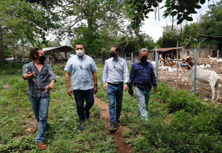 ELECCIONESMÉRIDA: Más apoyos para impulsar al sector rural de las 47 comisarías de Mérida afirma Renán Barrera