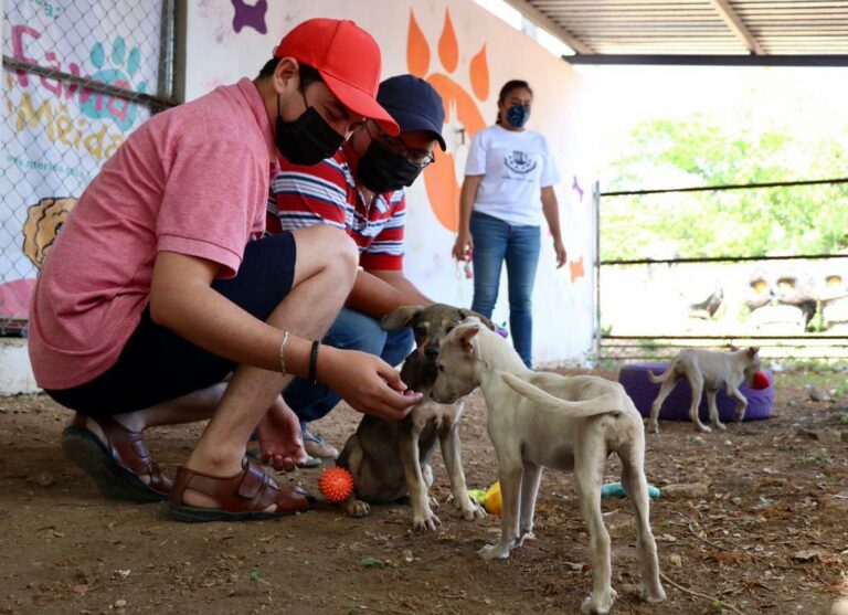 MÉRIDA: El Ayuntamiento fomenta la adopción responsable a través de la convivencia con los animales