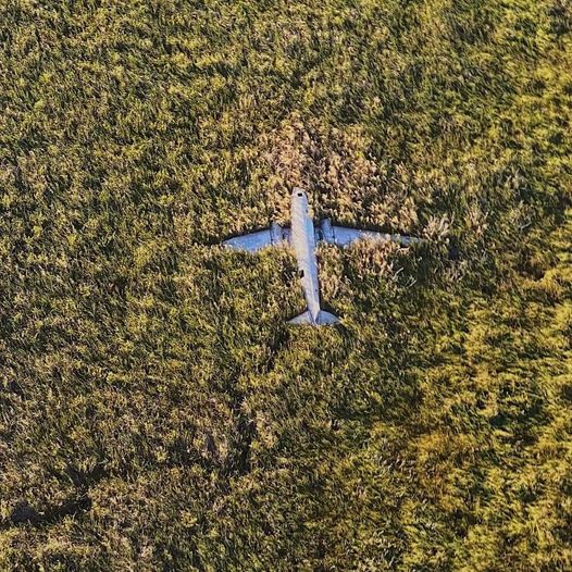 DE PABLO ESCOBAR ❓ IMPOSIBLE: EN 1966 EL CAPO TENÍA 15 AÑOS 🛩 EL AVIÓN DE CELESTÚN YUCATÁN