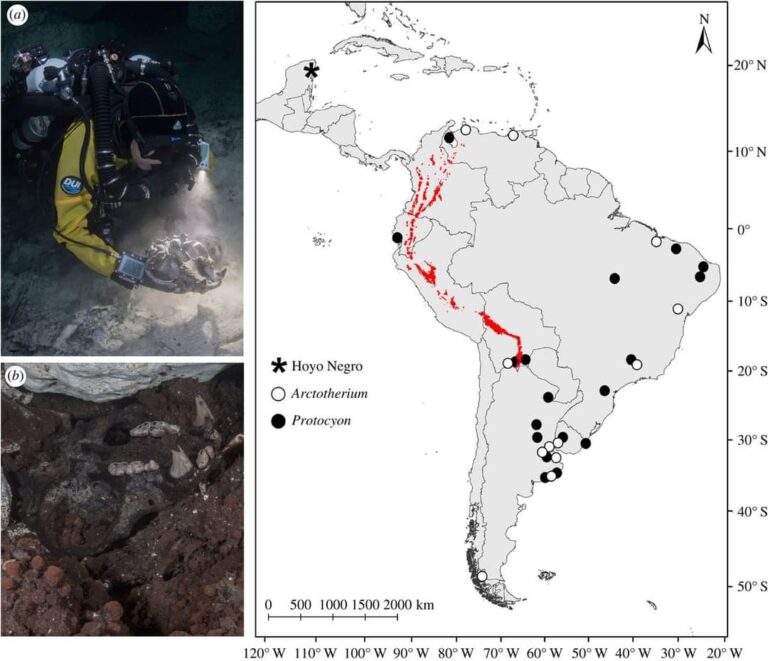 MUNDO | NUEVO DESCUBRIMIENTO PREHISTÓRICO EN YUCATÁN