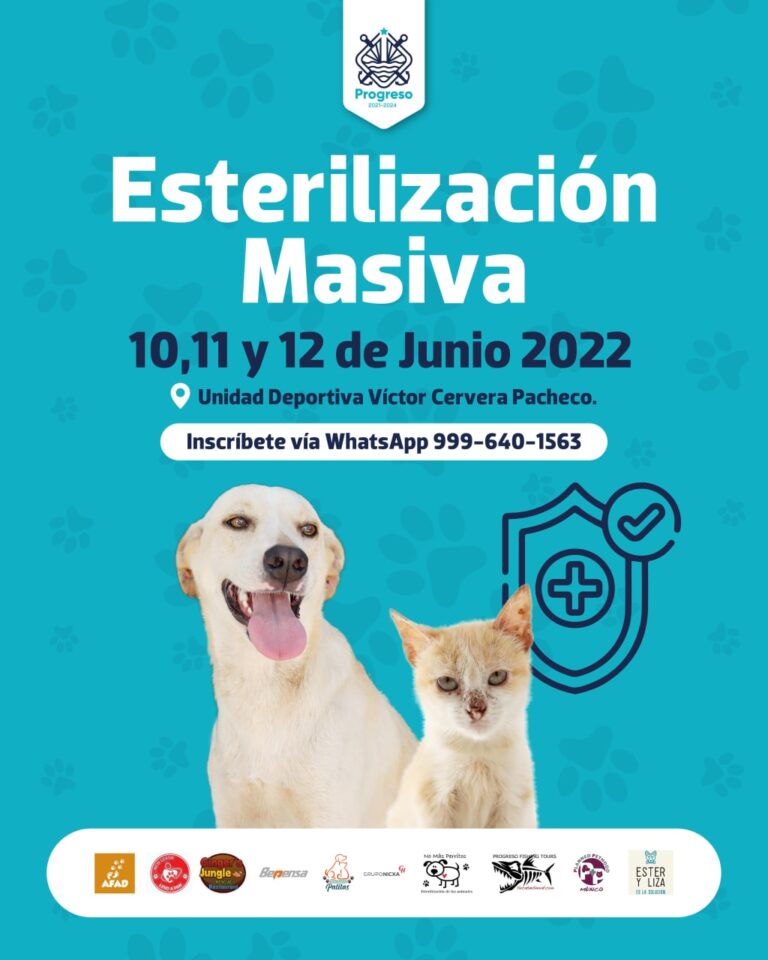 PROGRESO | LA UNIDAD DE EDUCACIÓN AMBIENTAL INVITA A LA POBLACIÓN DE PROGRESO Y SUS COMISARÍAS A LAS JORNADAS DE ESTERILIZACIÓN MASIVA CANINA Y FELINA