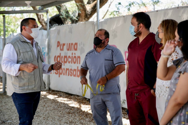 MÉRIDA | De la mano de la sociedad, el Ayuntamiento fomenta el respeto, cuidado y la armonía hacia la fauna del Municipio: Renán Barrera