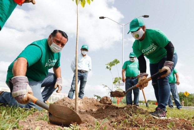 MÉRIDA | Avanza a buen ritmo la Cruzada Forestal gracias al apoyo de las y los ciudadanos