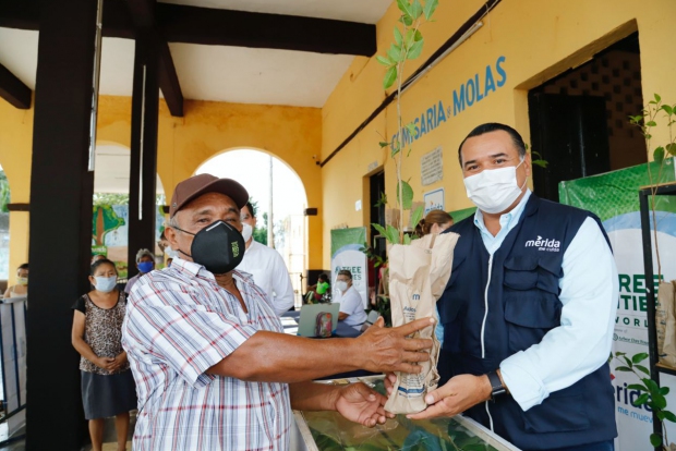 MÉRIDA | Mérida recibe por tercera ocasión el reconocimiento de Ciudad Árbol del Mundo