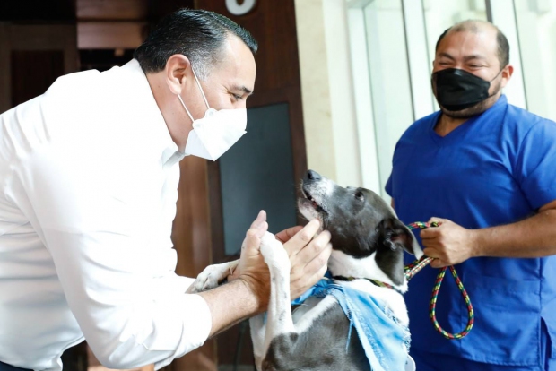 MÉRIDA | Mérida fue sede del curso nacional para proteger a la fauna en emergencias climáticas