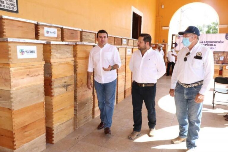 GOBIERNO | Apoyo del Gobernador Mauricio Vila Dosal llega a los apicultores de Chocholá