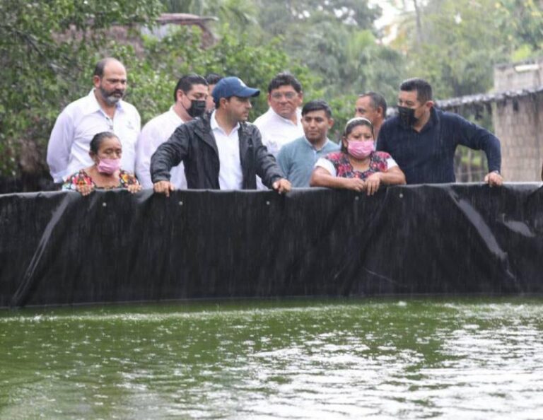 GOBIERNO | Con apoyo del Gobernador Mauricio Vila, proyectos de acuacultura para producción de tilapia se consolidan en el oriente de Yucatán