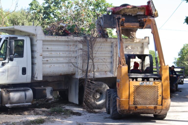 PROGRESO | MÁS DE 24 TONELADAS DE BASURA FUERON RECOLECTADOS EN LA DESARTICULACIÓN DE UN BASURERO CLANDESTINO EN CHUBURNÁ PUERTO