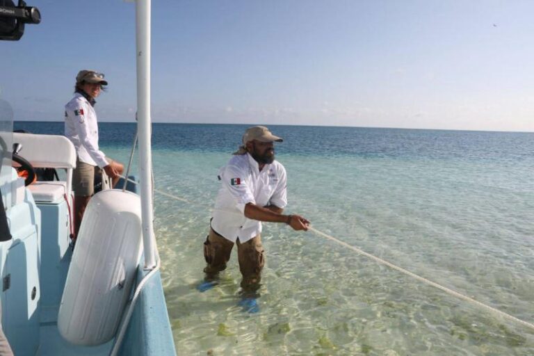 GOBIERNO | Gobierno del Estado, en estrecha coordinación con Semar y Conanp, conservan y protegen el Parque Nacional Arrecife Alacranes