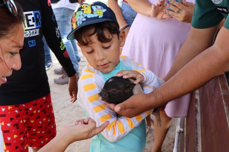 PROGRESO | EL ALCALDE REALIZÓ UN RECORRIDO POR LA PIG BEACH CON EL OBJETIVO DE ANALIZAR Y PLANEAR MEJORAS AL ESPACIO