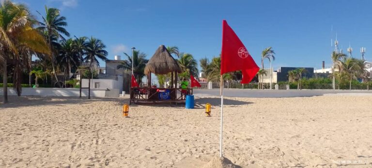 PROGRESO | AYUNTAMIENTO DE PROGRESO, INSTITUCIONES DE GOBIERNO DEL ESTADO Y ZONA NAVAL COORDINAN ACCIONES ANTE LA PRESENCIA DE LOS EFECTOS DE LA MAREA ROJA