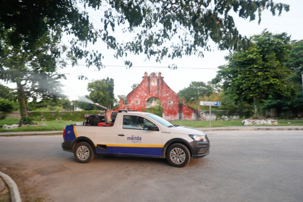 MÉRIDA | Acciones conjuntas entre la SSY y el Ayuntamiento de Mérida contra los moscos