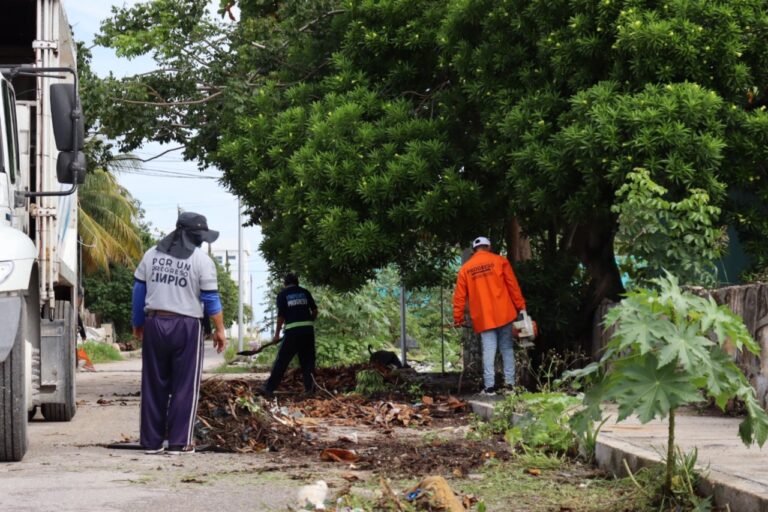 PROGRESO | MAS DE 16 TONELADAS DE BASURA FUERO RECOLECTADAS EN CALLES DE CHICXULUB PUERTO, EN ACCIONES REALIZADAS EN EL MARCO DEL DÍA MUNDIAL DE LA LIMPIEZA.