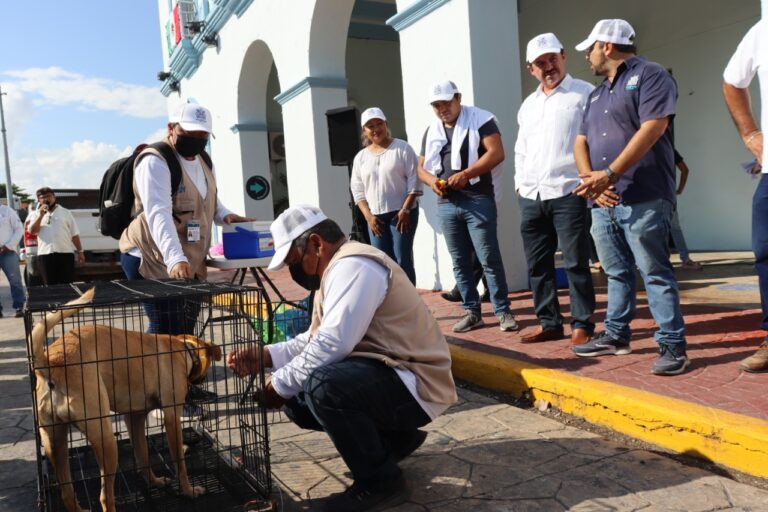 PROGRESO | EL H. AYUNTAMIENTO SE UNE A LA CAMPAÑA DE VACUNACIÓN ANTIRRÁBICA EN PROGRESO.