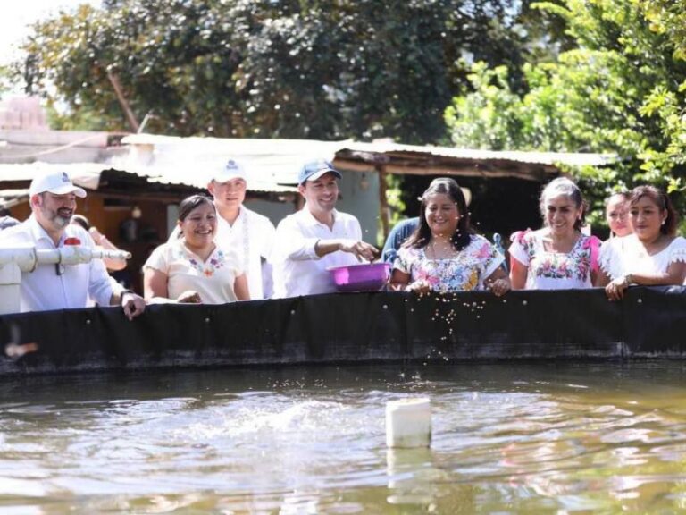 GOBIERNO | El Gobernador Mauricio Vila Dosal continúa respaldando proyectos de acuacultura para impulsar economía de familias del interior del estado