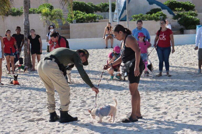 PROGRESO | Ayuntamiento de Progreso refuerza su compromiso con el bienestar animal al brindar adiestramiento profesional gratuito