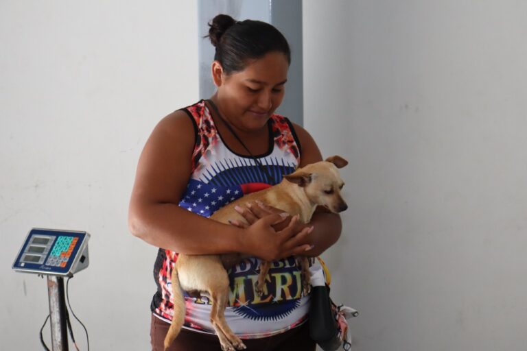 PROGRESO | Zacarías Curi fortalece el cuidado de mascotas con nueva Jornada de esterilización