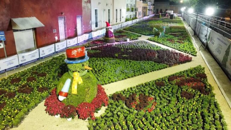 GOBIERNO | Inicia la exhibición «Paseo Navideño de las Flores» en parque de La Mejorada de Mérida