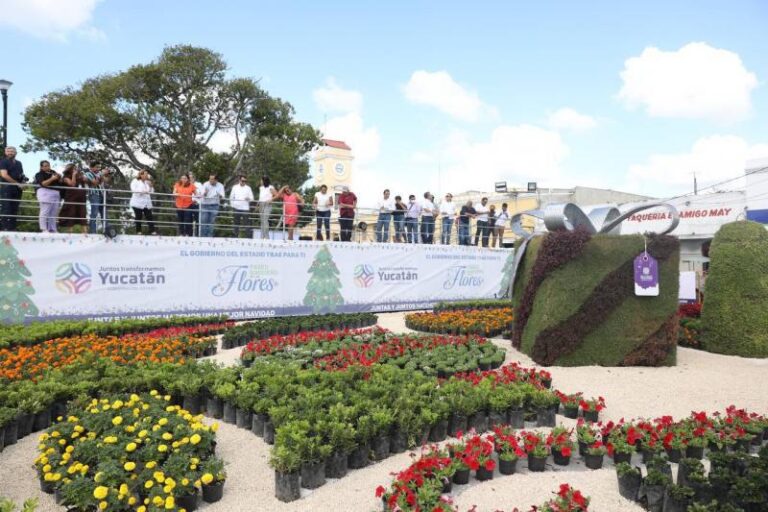 GOBIERNO | El atractivo Paseo Navideño de las Flores llega a Hunucmá