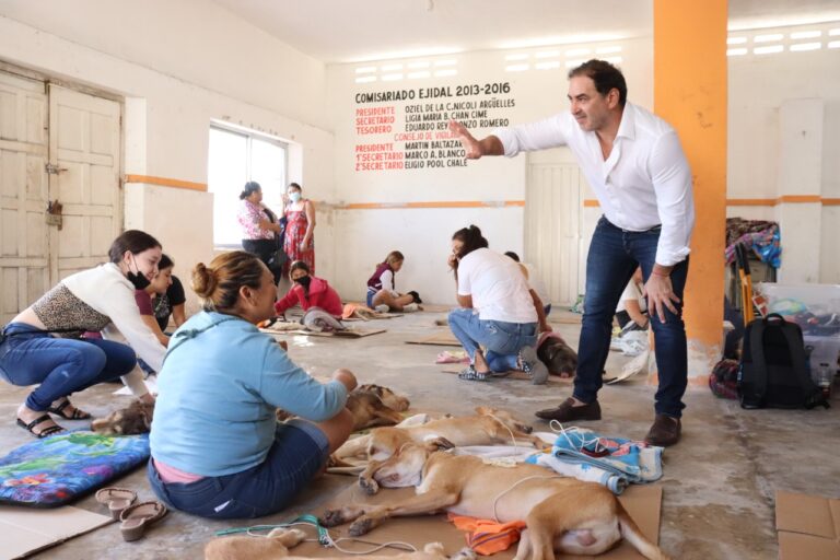 PROGRESO | “Continuaremos reforzando acciones en pro del bienestar animal”, afirmó el alcalde Julián Zacarías Curi tras exitosa jornada de esterilización masiva en la que atendieron a más de 140 animales