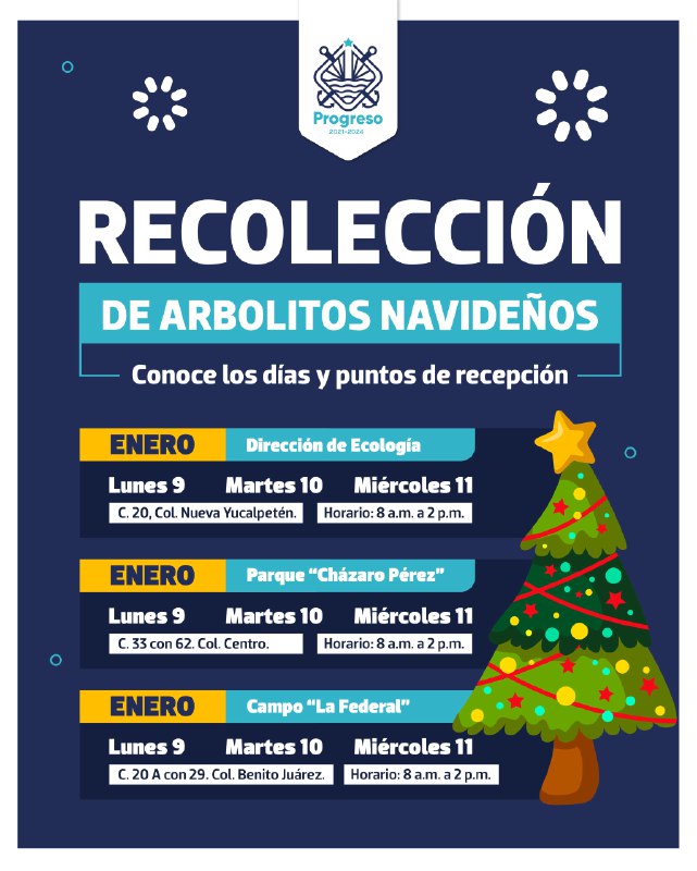 PROGRESO || Ayuntamiento de Progreso comenzará el próximo lunes con la recolección de arbolitos navideños