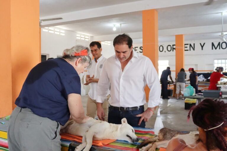 PROGRESO | Zacarías Curi agradece la respuesta de la ciudadanía a otra “Jornada de Esterilización canina y felina” en Progreso