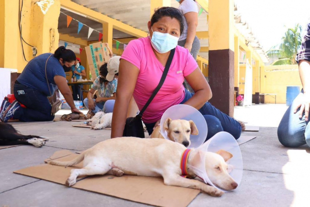 MÉRIDA |   Renán Barrera promueve el bienestar y la tenencia responsable de los animales de compañía.