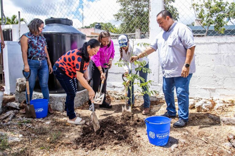 GOBIERNO | Gobierno del Estado ha distribuido más de 75,000 plantas en escuelas de Yucatán, a través de la estrategia “Un niño, un árbol”